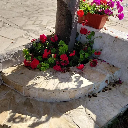 Spacious Floor With 3 Bdr & Balconies פודסטראנה